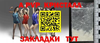 a pvp Славгород