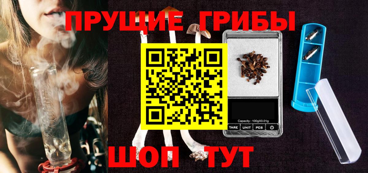 Псилоцибиновые грибы ЛСД  закладка  Петрозаводск  Вход с VPN 
